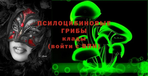 a pvp Абаза